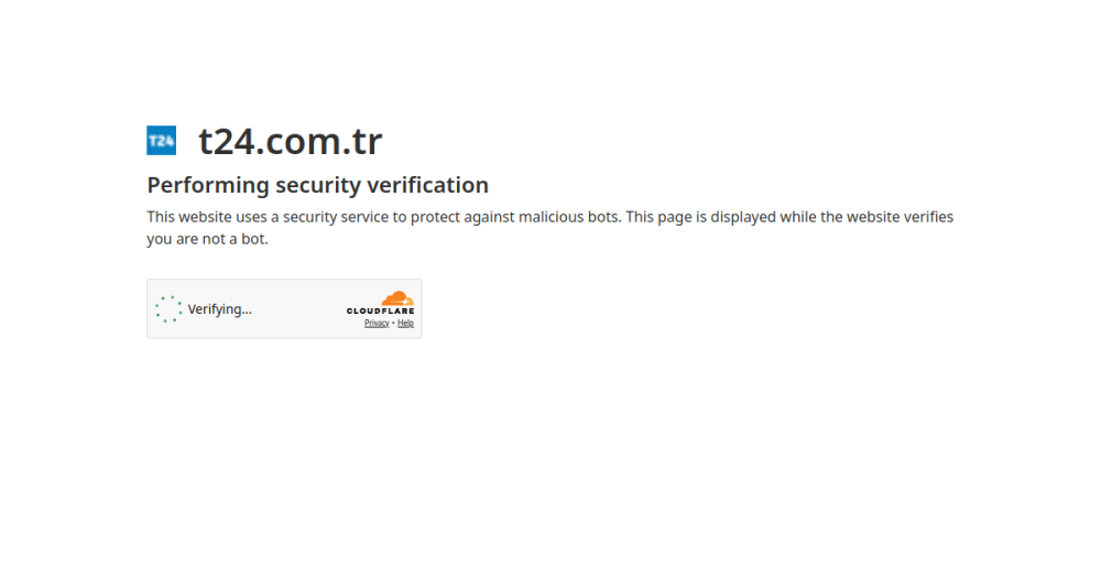 T24 — web sitesi önizlemesi