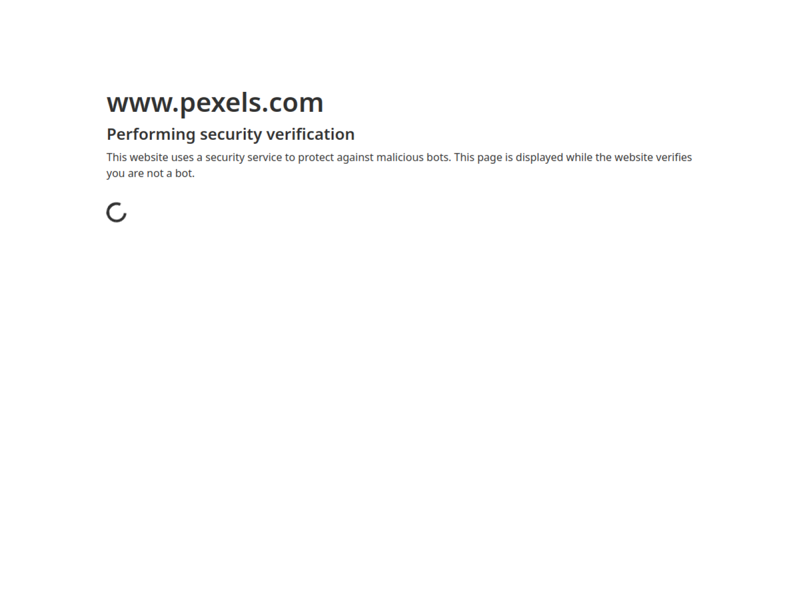 Pexels web sitesi önizlemesi