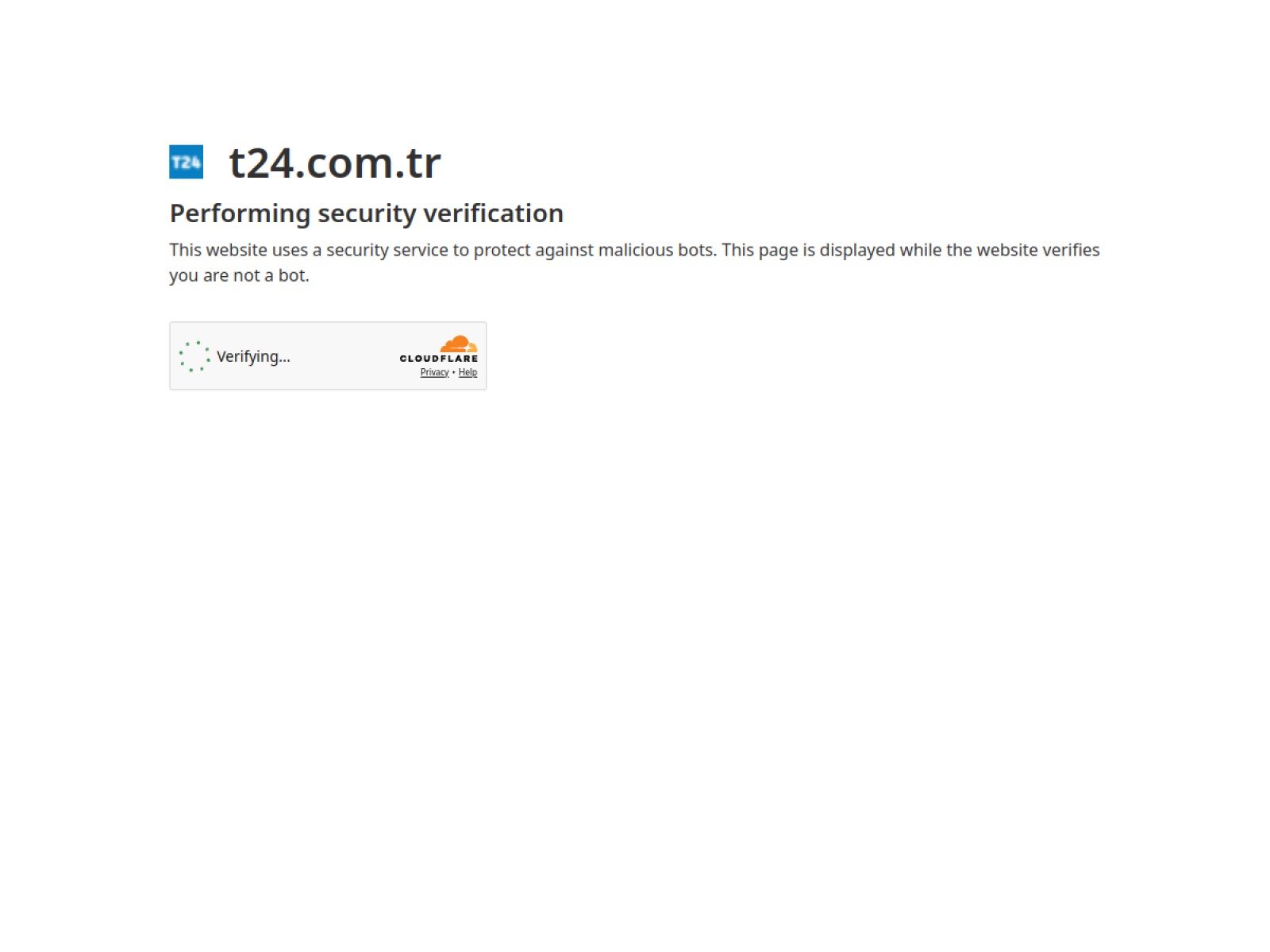 T24 website preview