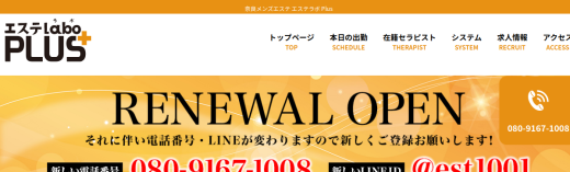 エステラボ PLUS