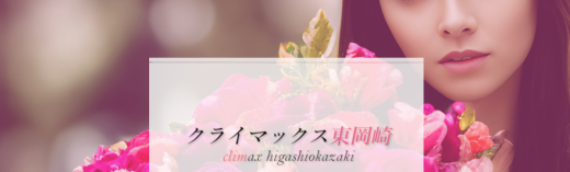 クライマックス東岡崎