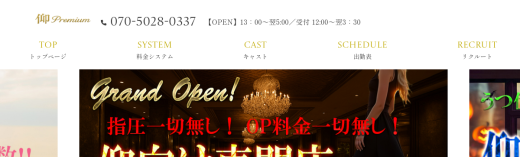 仰 Premium