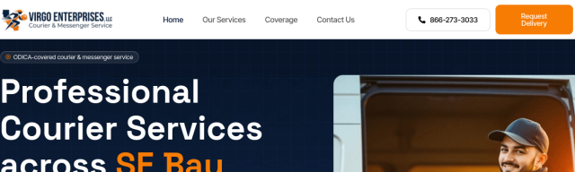 Virgo Enterprises LLC website