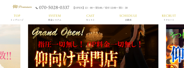仰 Premium