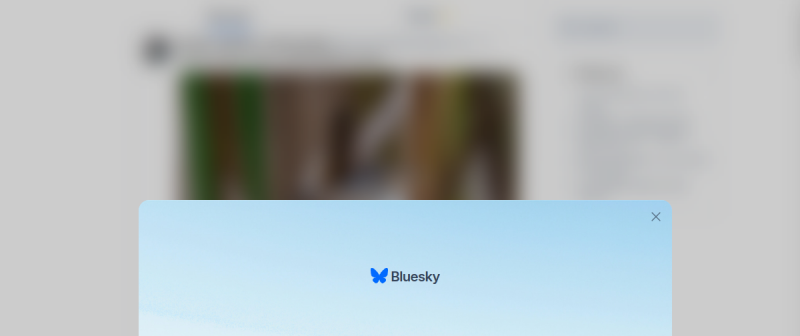 Bluesky website preview