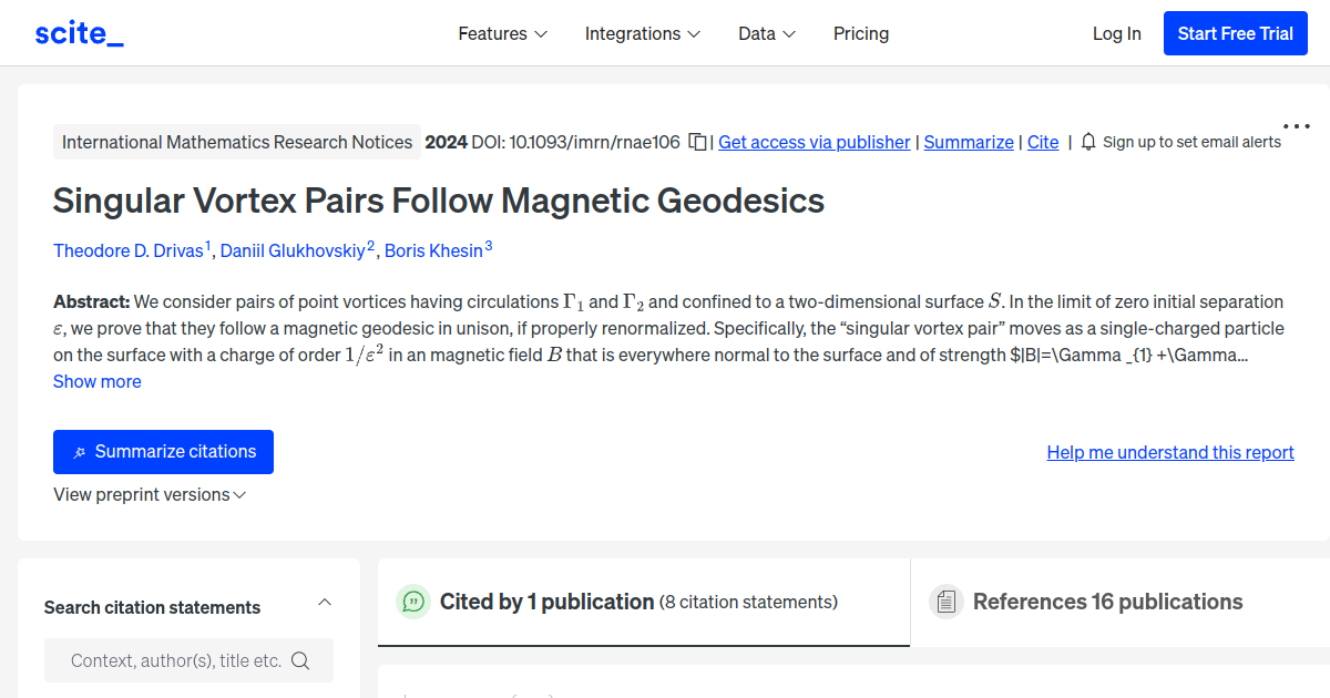 Singular Vortex Pairs Follow Magnetic Geodesics