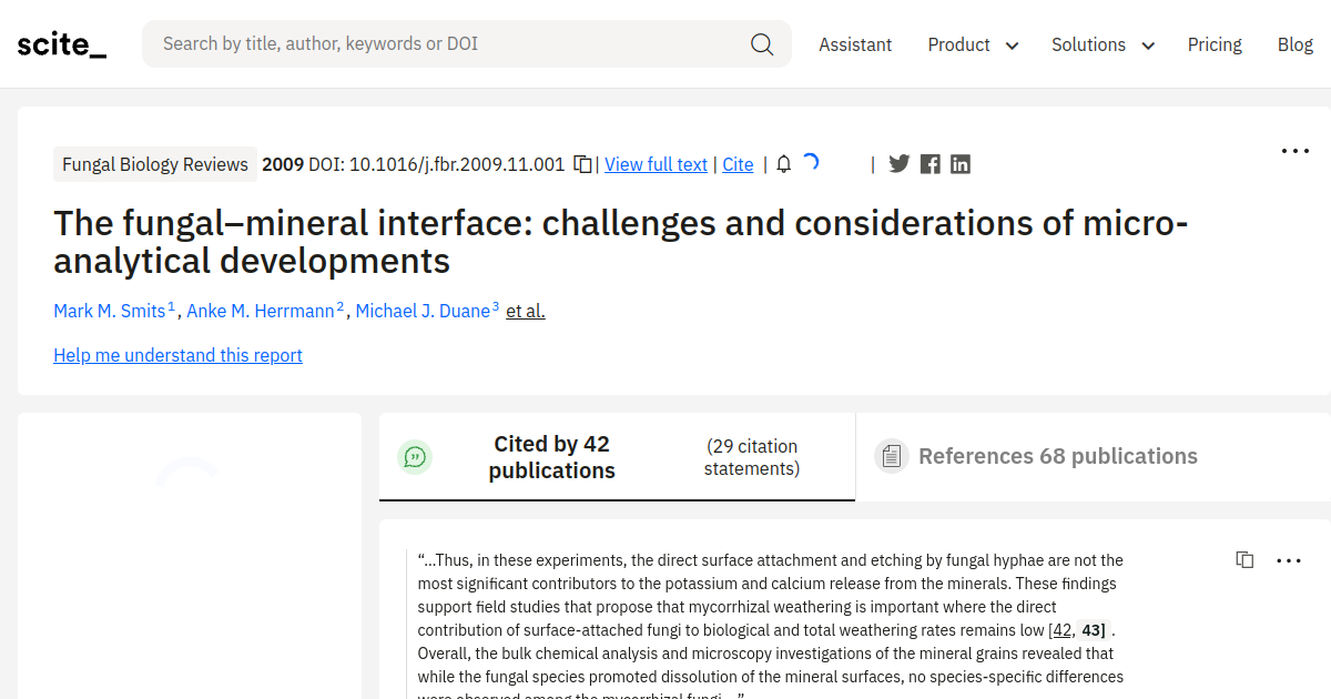 The fungal–mineral interface: challenges and considerations of micro ...