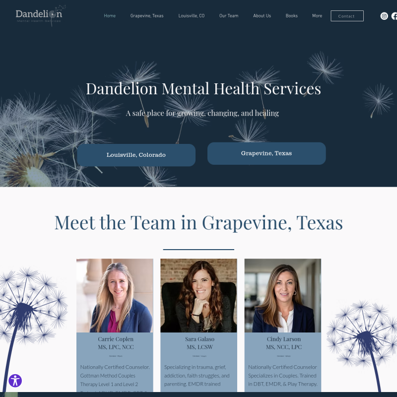 Dandelion Mental Health Services (DMHS)