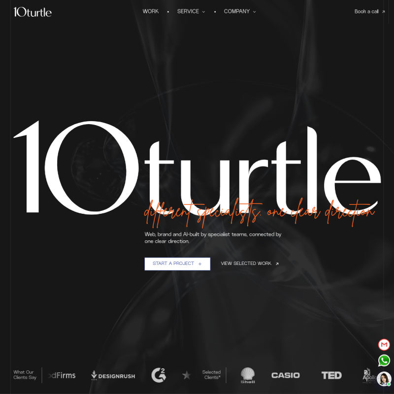 10turtle