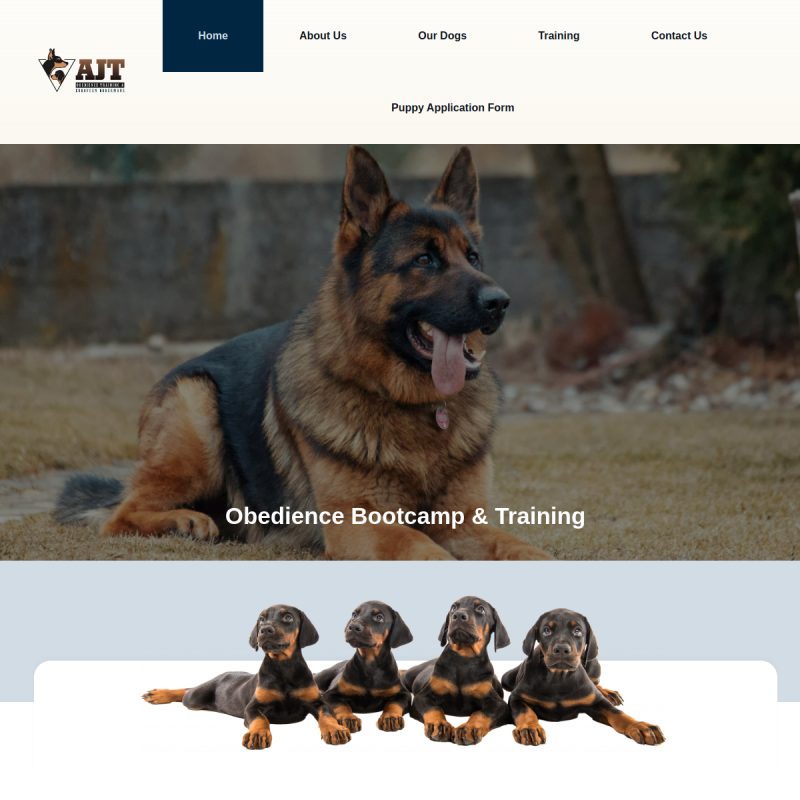AJT European Dobermans