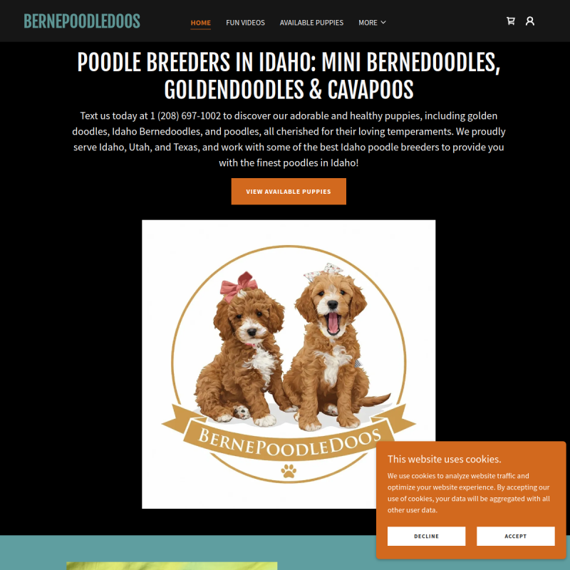 BernePoodleDoos