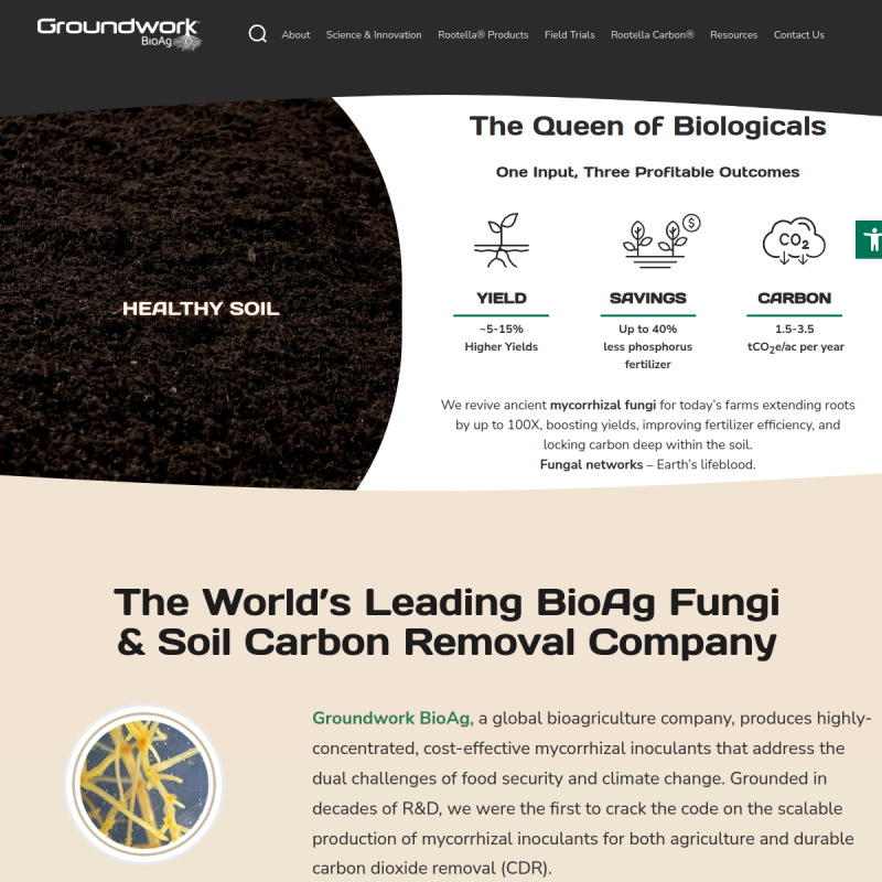 Optimize Your Crop with Advanced Corn Treatment Techniques