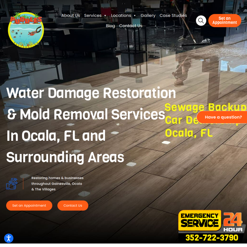 PUDDLES Restoration