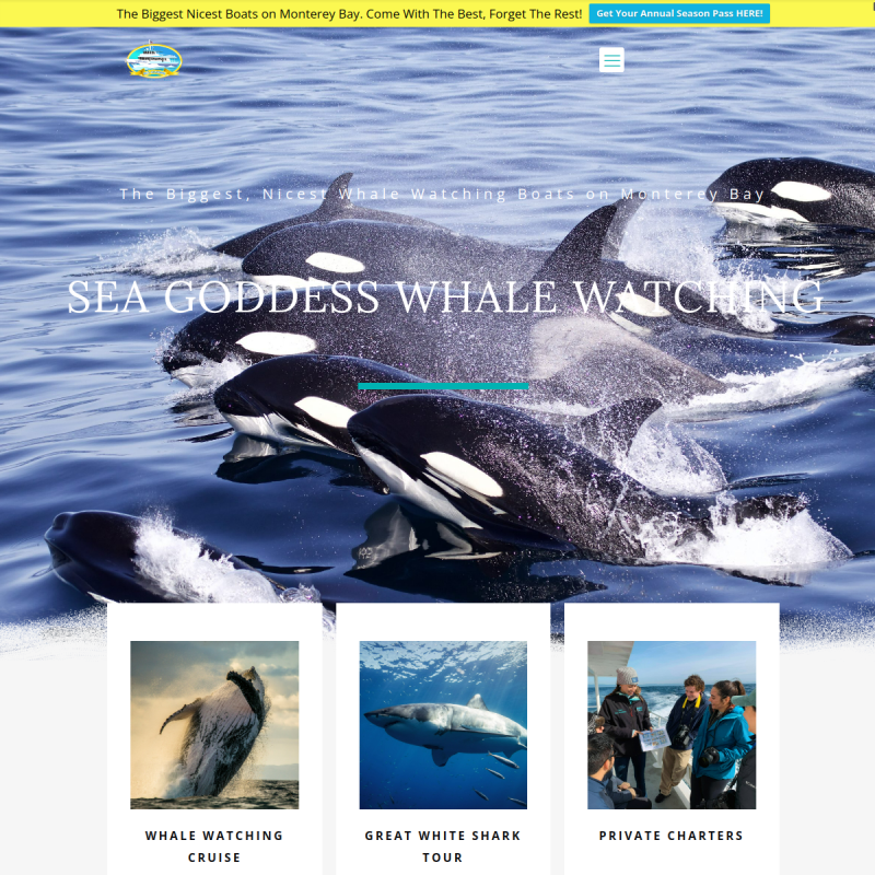 Sea Goddess Whale Watching