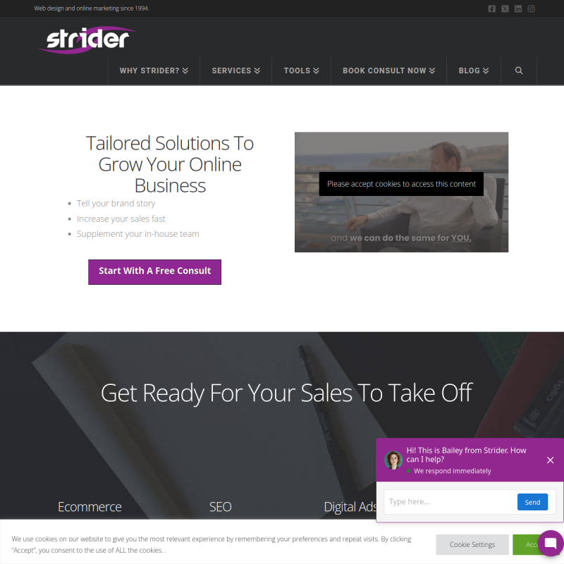 Strider Inc.