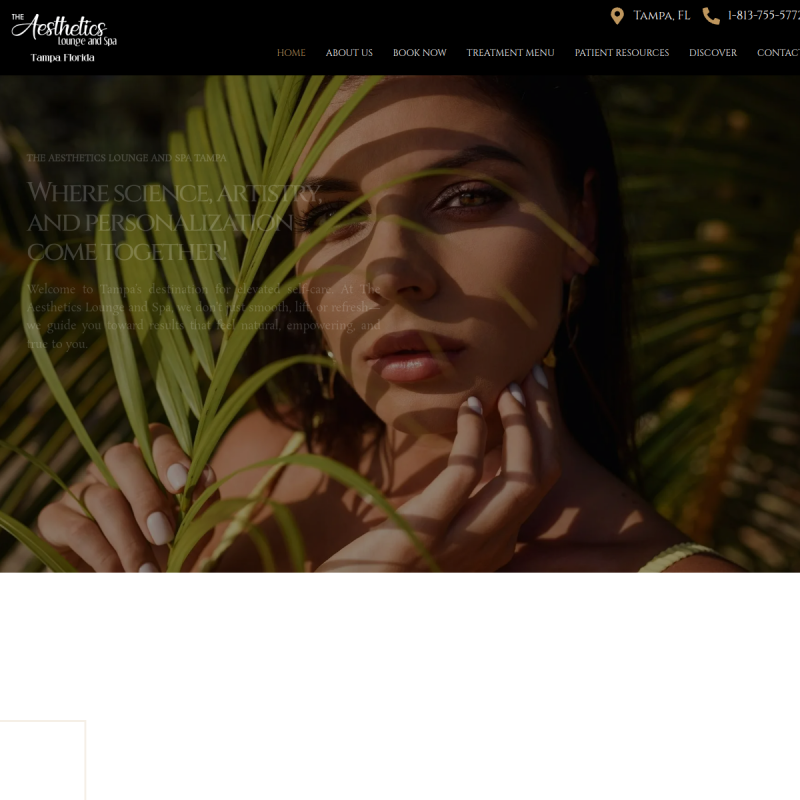 The Aesthetics Lounge and Spa Tampa