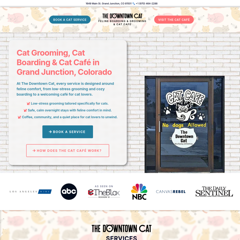 The Downtown Cat