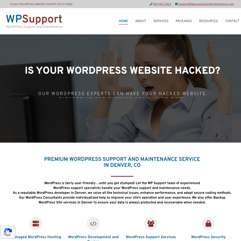 WP Support And Maintenance