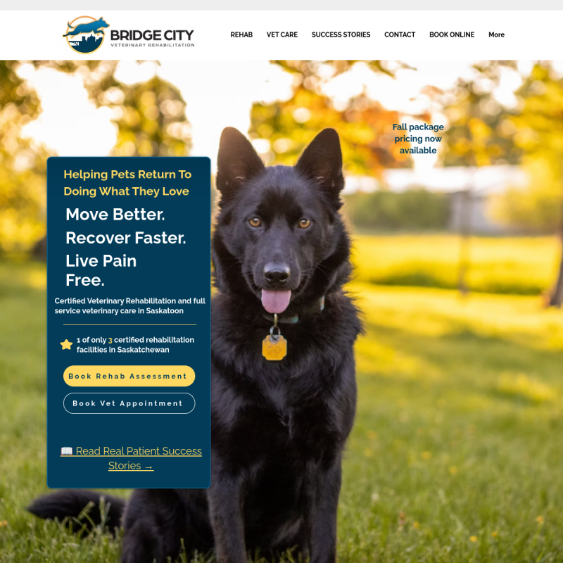 Bridge City Veterinary Rehabilitation