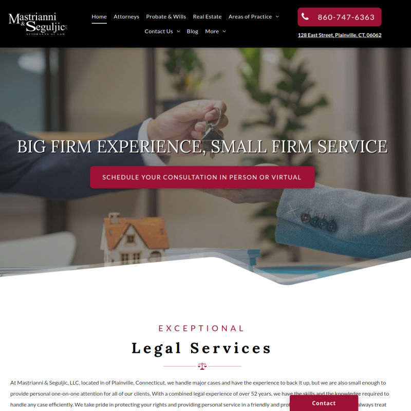 Mastrianni & Seguljic LLC