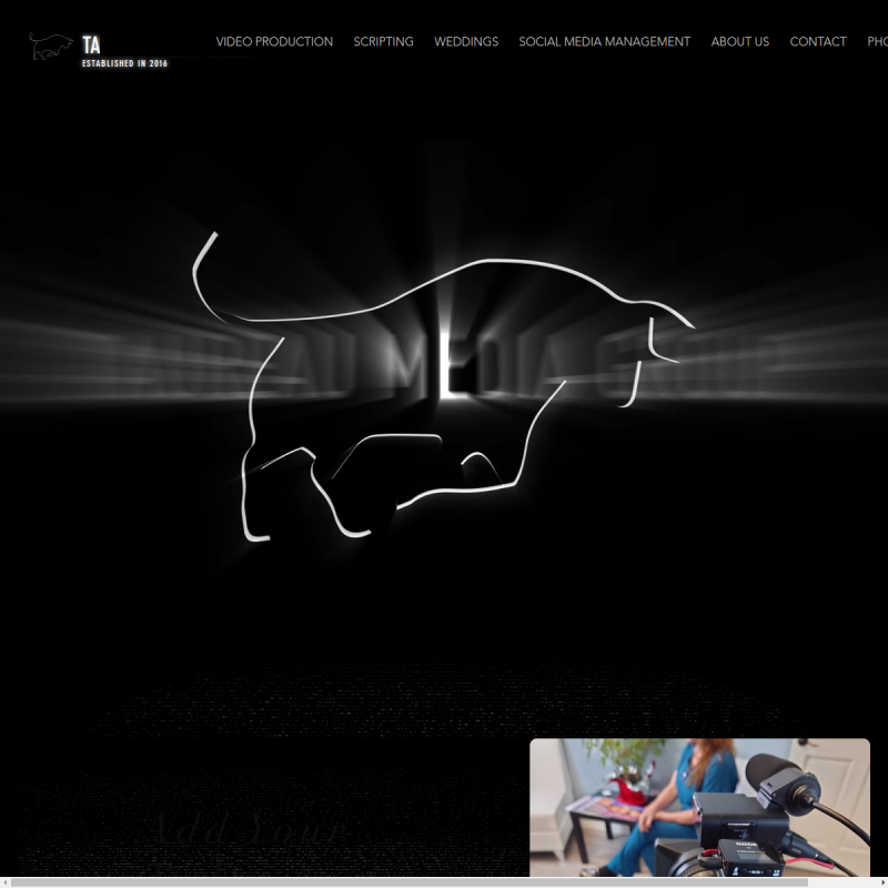 Taureau Media Group