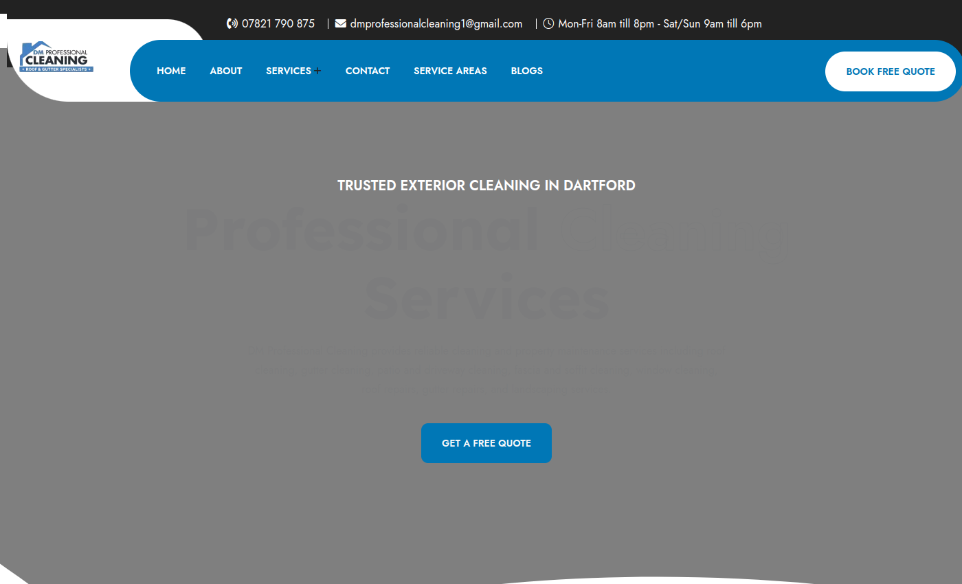 DM Professional Cleaning — Website Development Case Study live website screenshot