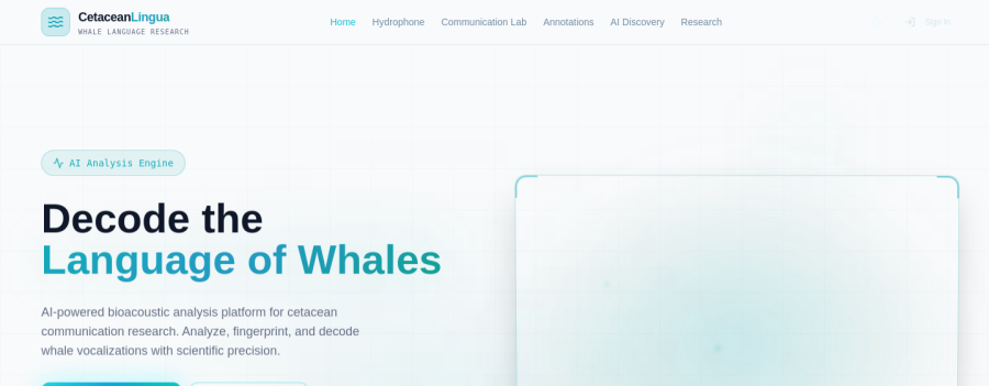 Cetacean Communications — Above the fold