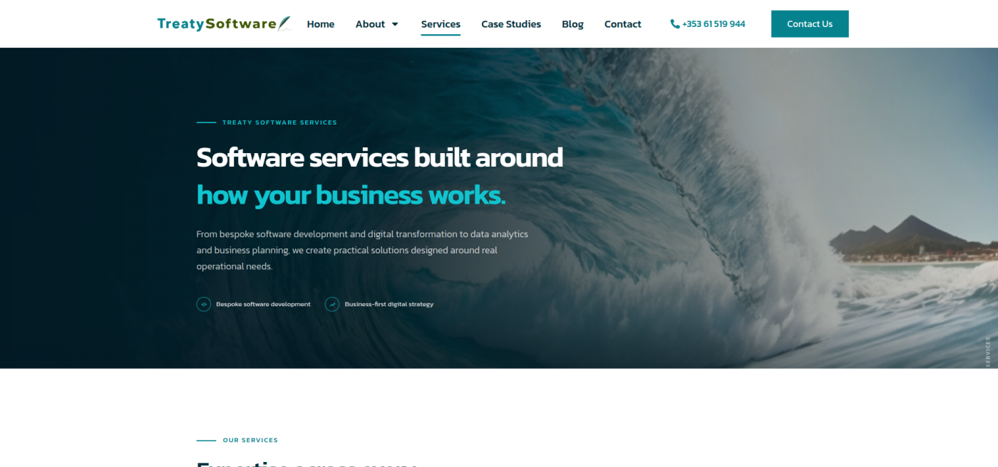 The Treaty Software services page shown at a full desktop viewport