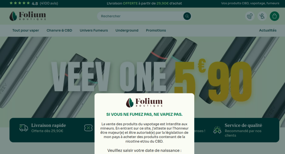 Aperçu du site Folium