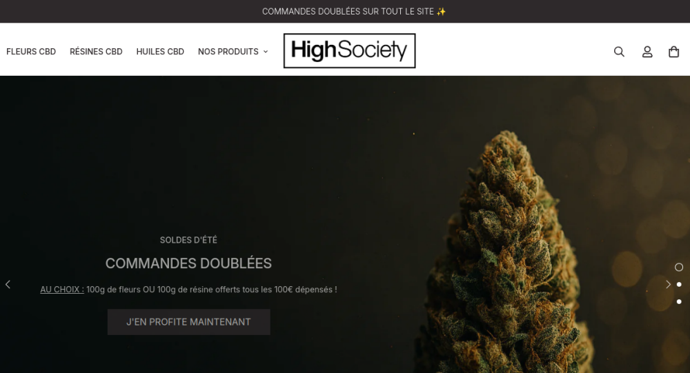 Aperçu du site High Society