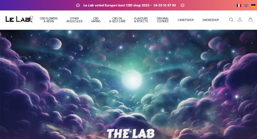 Aperçu du site Le Lab Shop