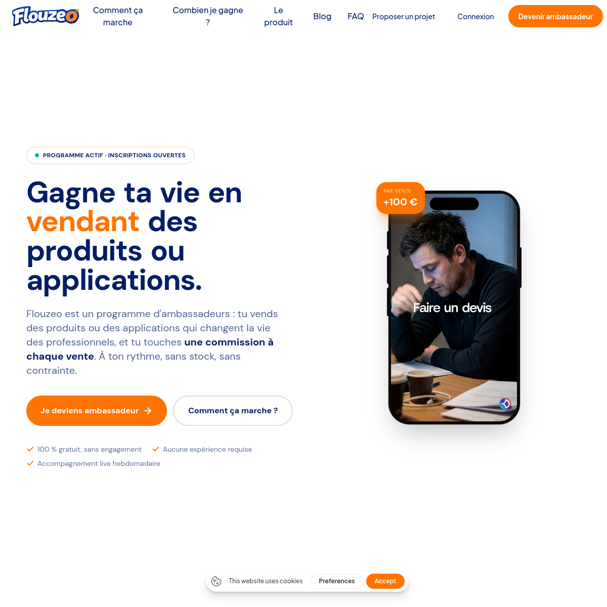 Aperçu du site Flouzeo