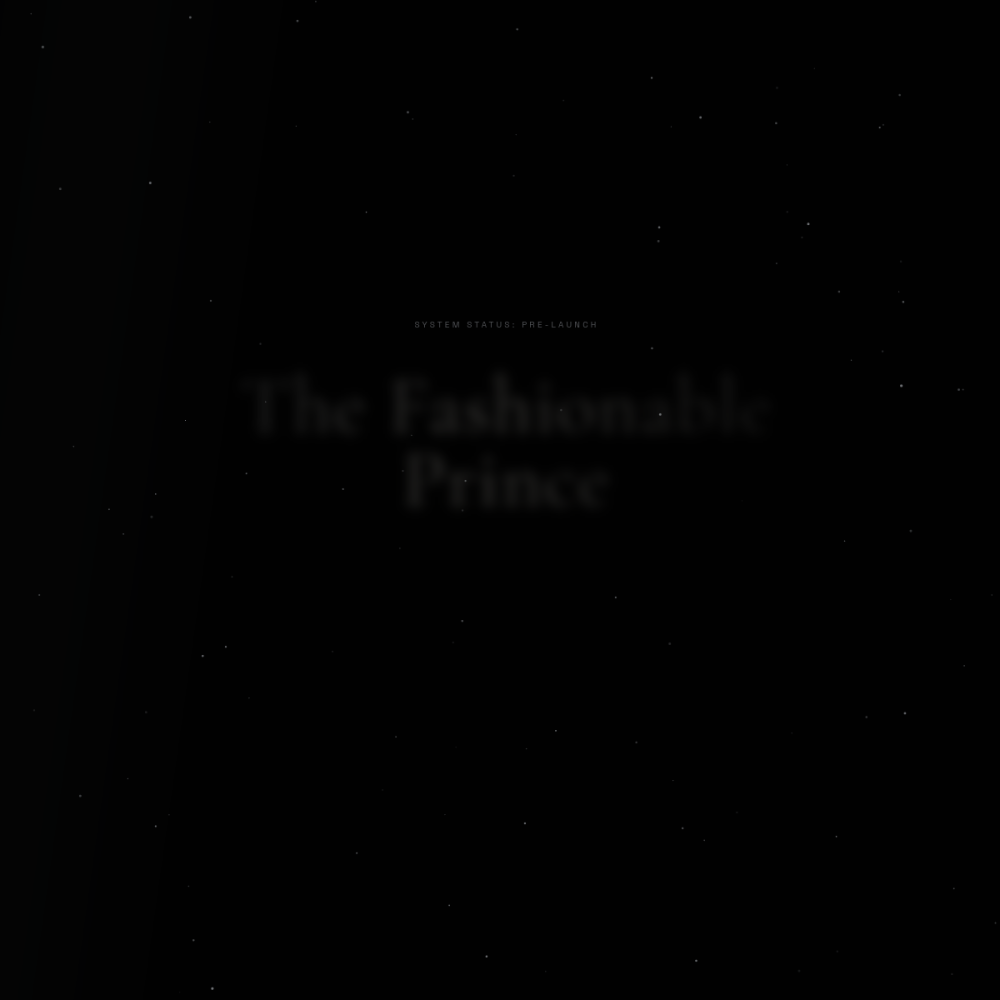The Fashionable Prince website preview
