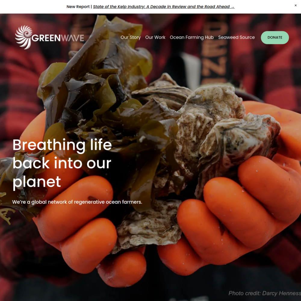 GreenWave — full page preview