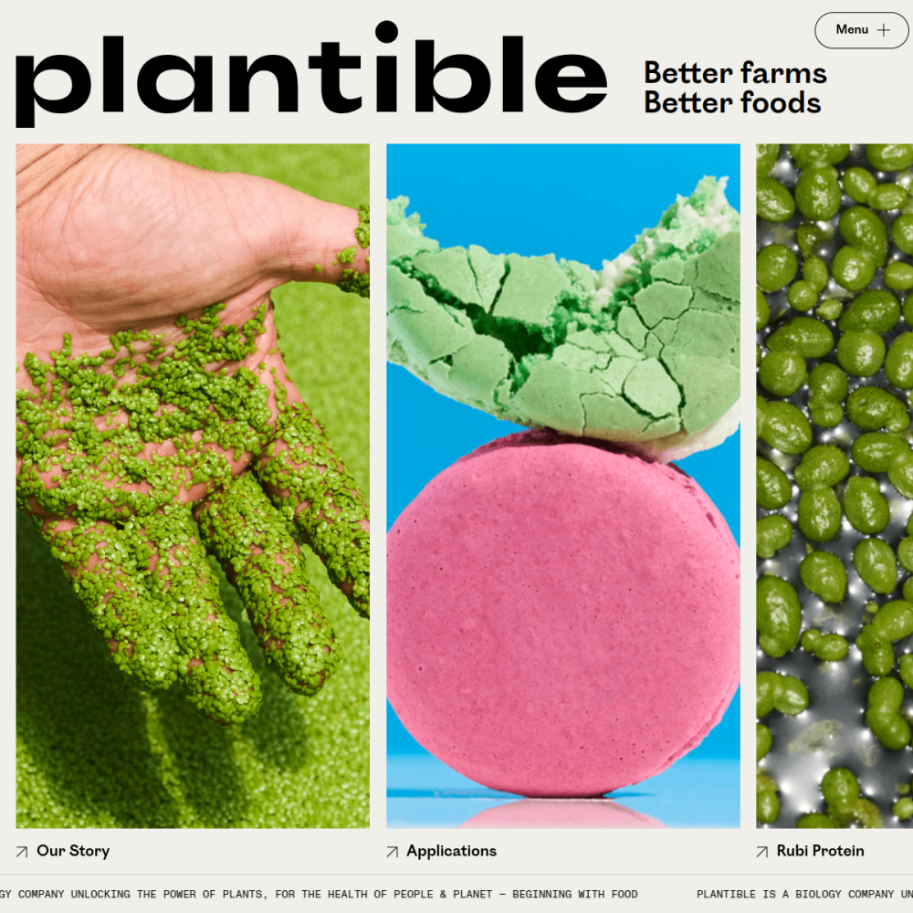 Plantible Foods — full page preview
