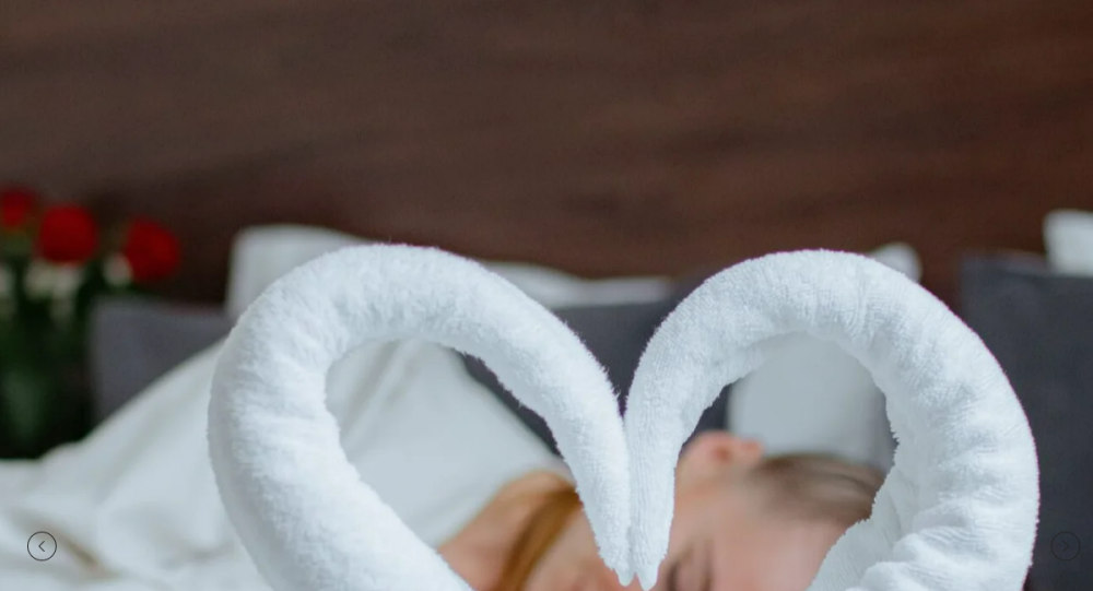 Превью сайта hoteltor.ru