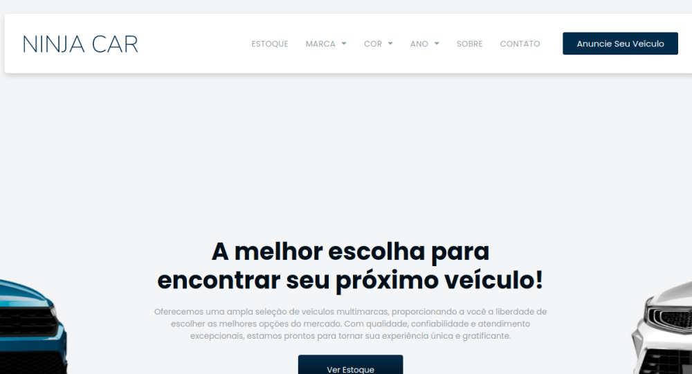 Captura real do site Veículos 2023