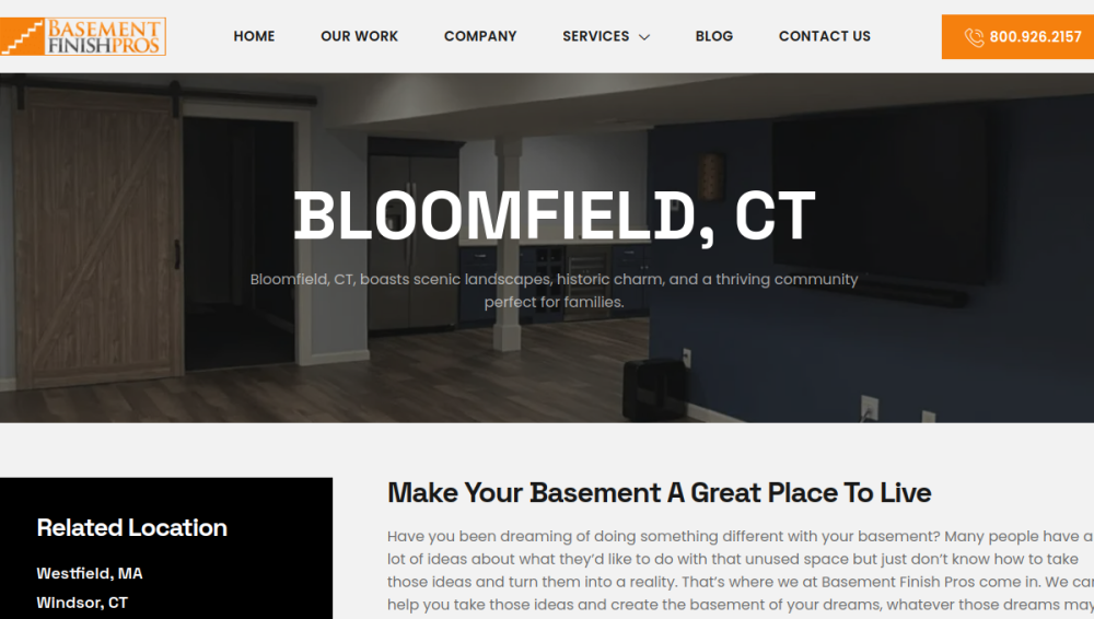 Website screenshot of Basement Finish Pros LLC