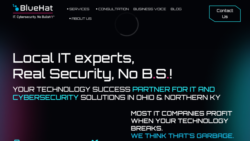 Website screenshot of BlueHat