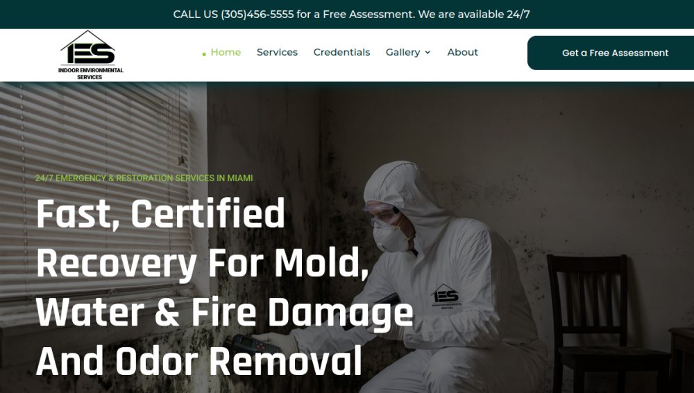 Website screenshot of Indoor Environmental Services