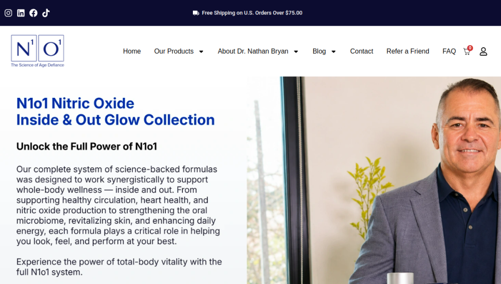 Website screenshot of n1o1