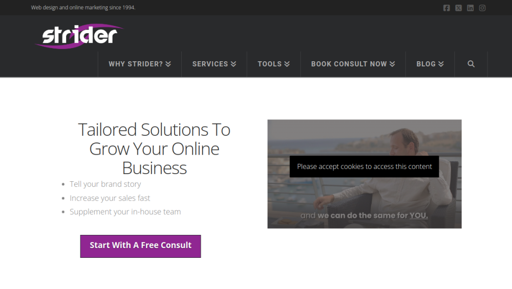 Website screenshot of Strider Inc.