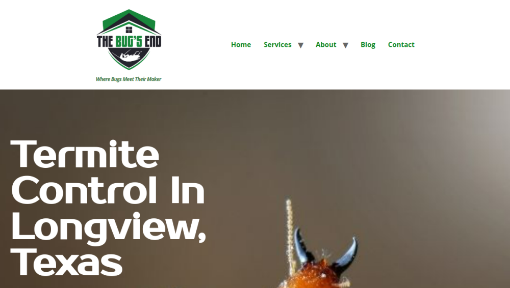 Website screenshot of The Bug's End