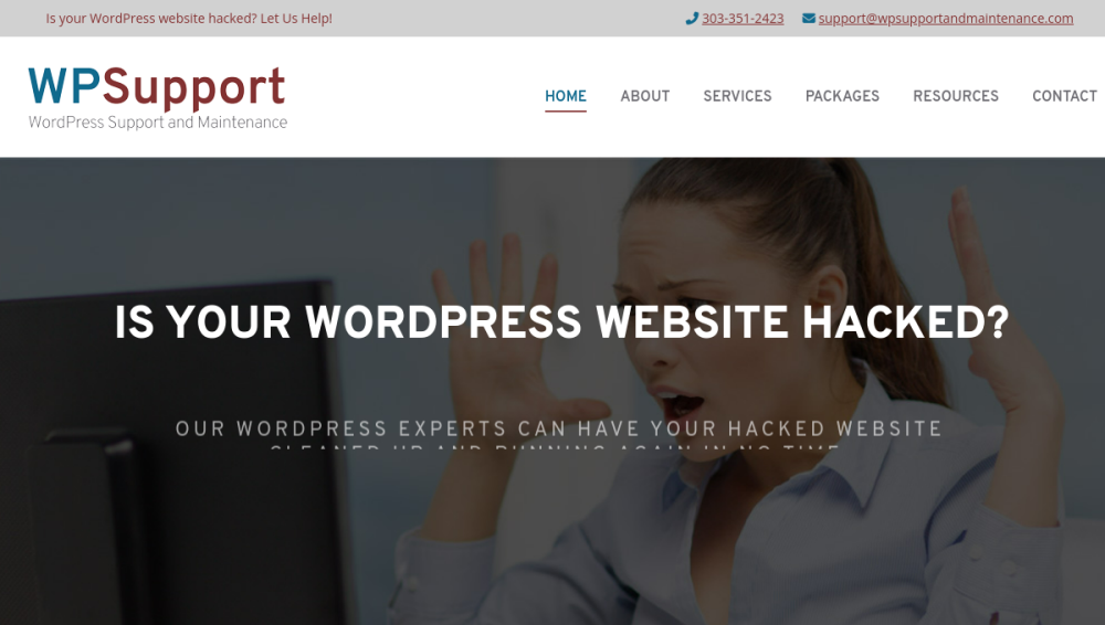 Website screenshot of WP Support And Maintenance