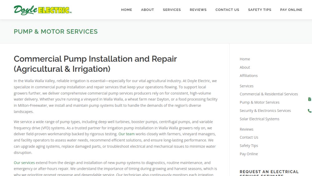 Website screenshot of Doyle Electric