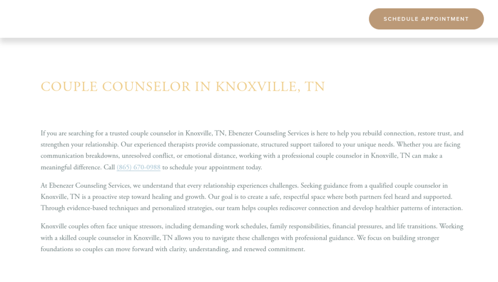 Ebenezer Counseling Services