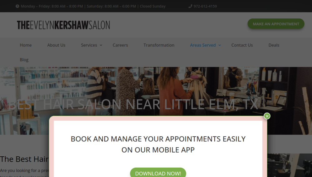 Website screenshot of The Evelyn Kershaw Salon