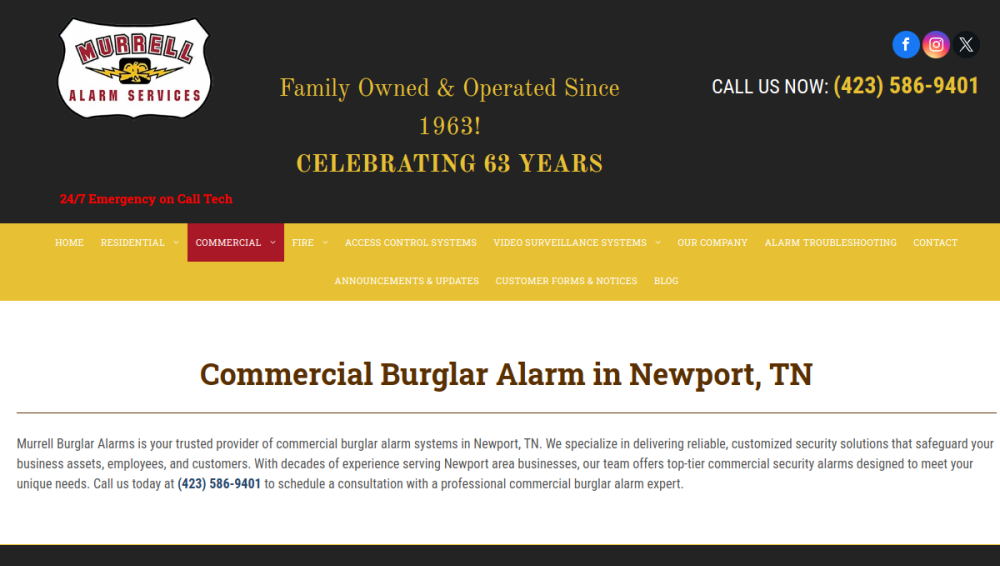 Website screenshot of Murrell Burglar Alarms