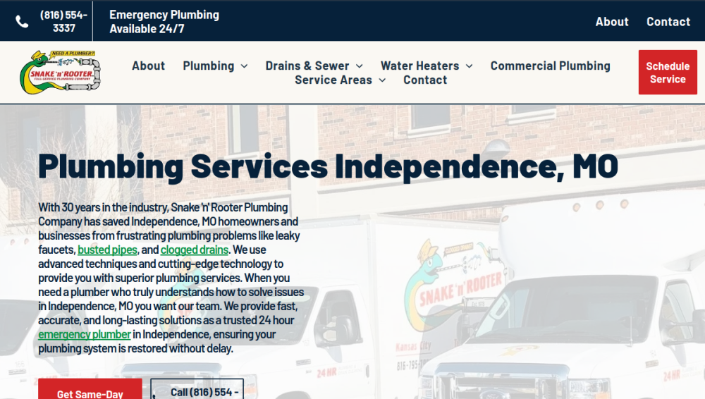 Website screenshot of Snake 'n' Rooter Plumbing Company