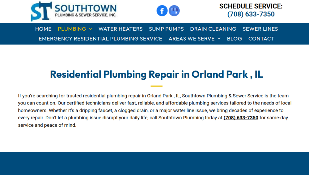 Website screenshot of Southtown Plumbing & Sewer Inc